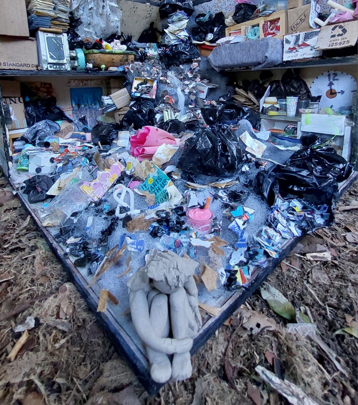 Photos of messy rooms